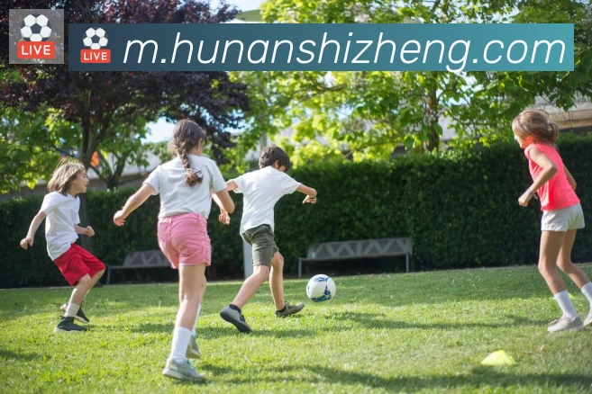 App Interface Preview