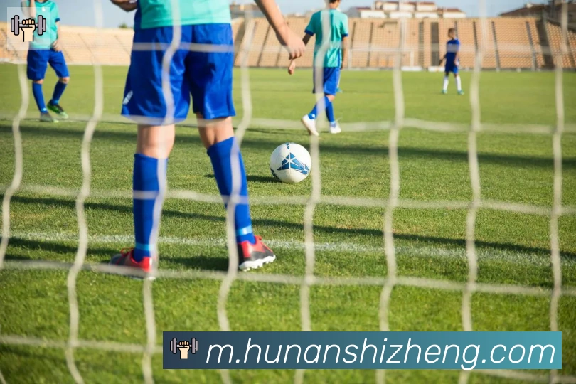 开云app官方在线入口荣誉