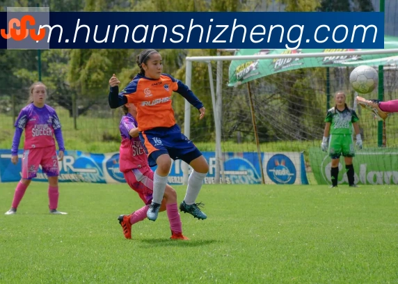 开云app官方在线入口荣誉