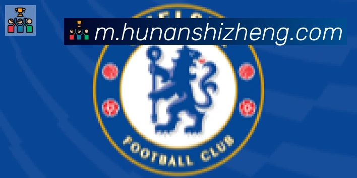 开云app官方在线入口合作伙伴