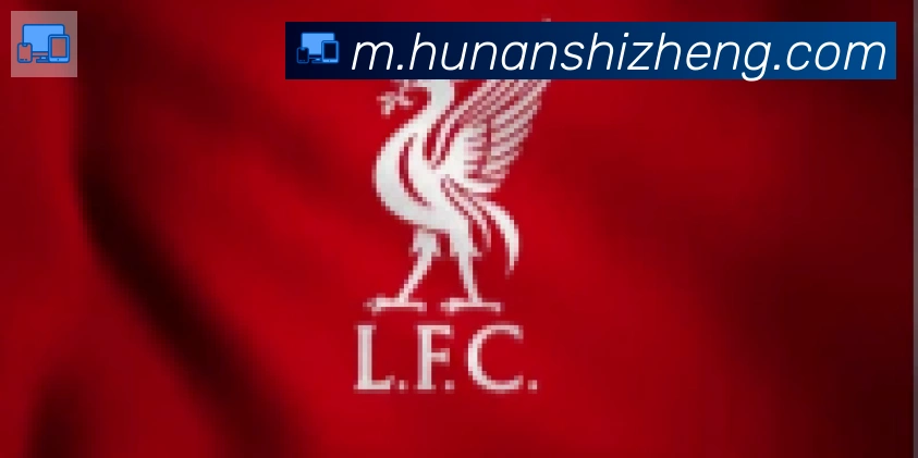 开云app官方在线入口合作伙伴