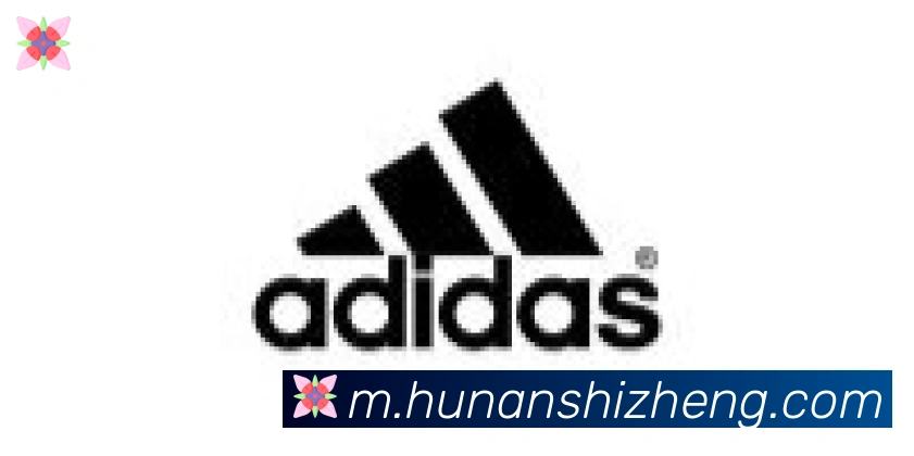 开云app官方在线入口合作伙伴